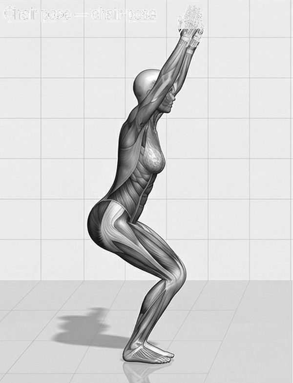 Line illustration of Chair pose