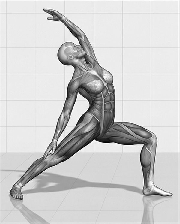 Line illustration of Reverse Warrior