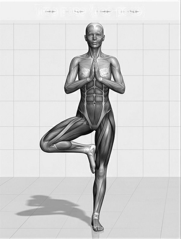 Line illustration of Tree pose